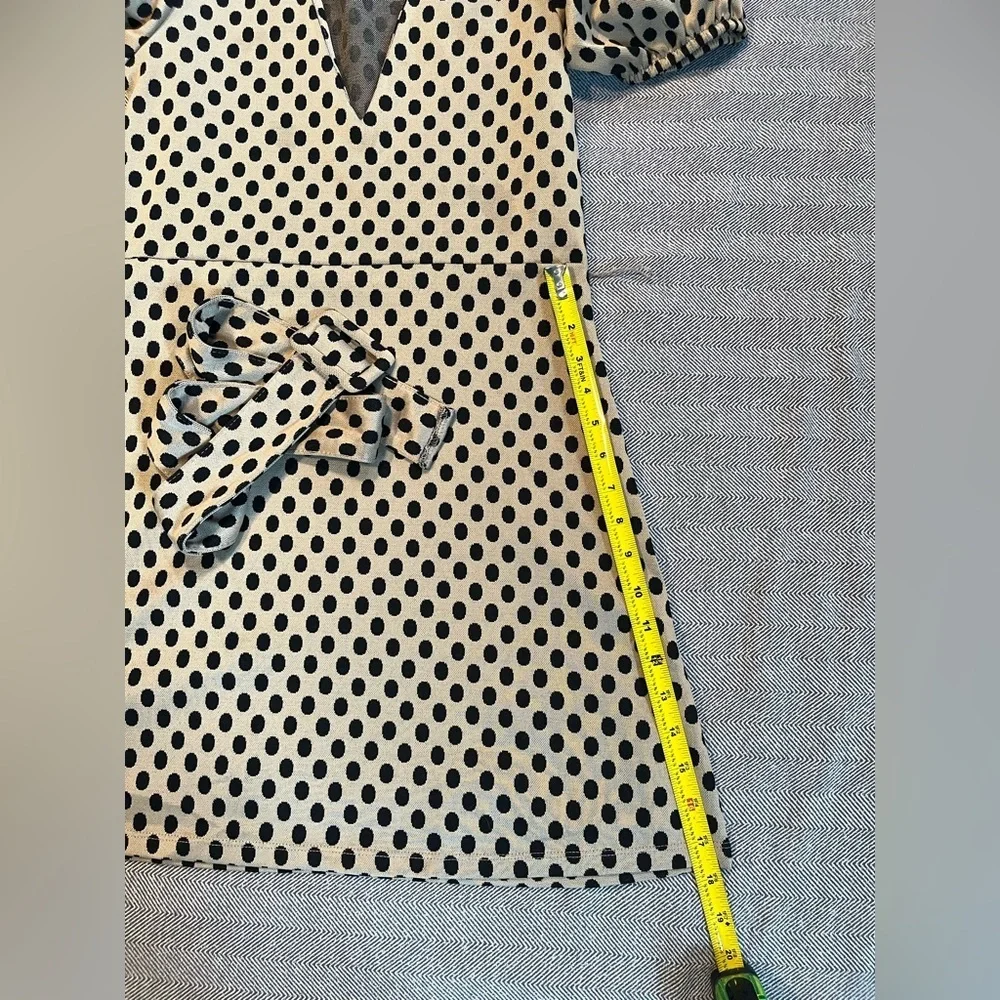 NWT Zara Belted Polka Dot Dress Size Medium